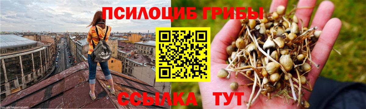 Алексеевка  Псилоцибиновые грибы Magic Shrooms  Вход с VPN  Псилоцибиновые грибы Magic Shrooms 